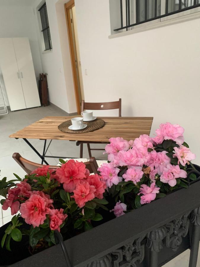 Appartamento Casa Vigon Sanlúcar de Barrameda Esterno foto